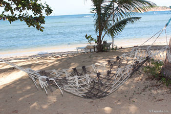 Cashew Grove Beach Resort Busuanga Exteriér fotografie